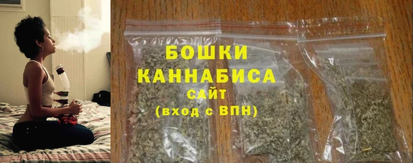 прущая мука Ельня